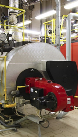 schermata 2025-08-12 alle 21